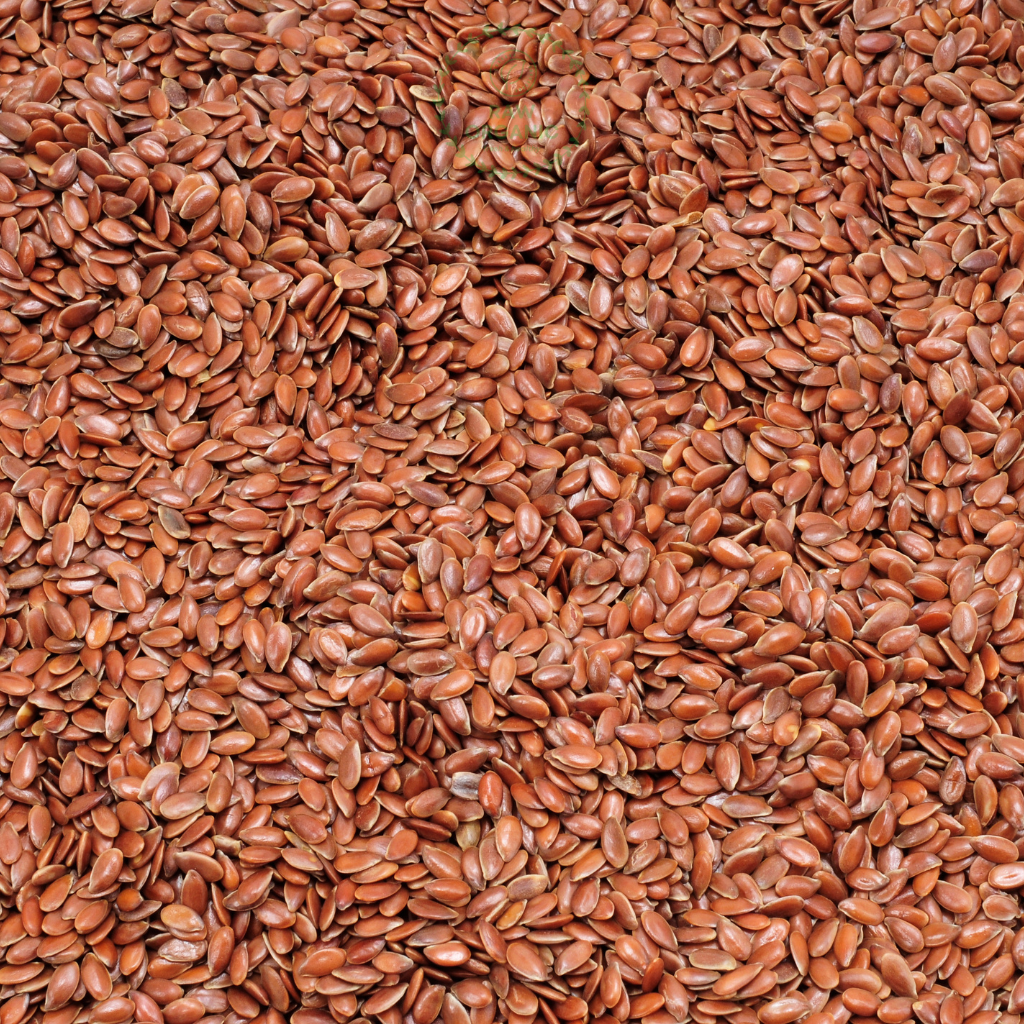 Organic Brown Flax Seeds